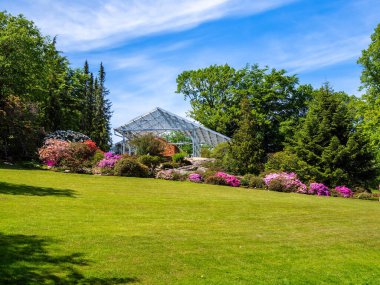 İsveç 'in Göteborg kentindeki botanik bahçesinde çiçek açan çalılar ve bir sera