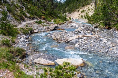 İsviçre Ulusal Parkı 'nın nehir ve vahşi manzarası, dokunulmamış doğasıyla ünlü, batı Rhaetian Alpleri, doğu İsviçre.