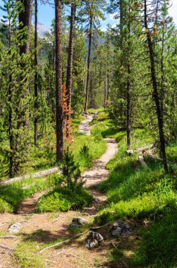 İsviçre Ulusal Parkı 'nda yürüyüş yolu, dokunulmamış doğası ile ünlüdür, batı Rhaetian Alplerinde, doğu İsviçre' de yer alır..