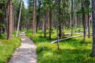 İsviçre Ulusal Parkı 'nda yürüyüş yolu, dokunulmamış doğası ile ünlüdür, batı Rhaetian Alplerinde, doğu İsviçre' de yer alır..
