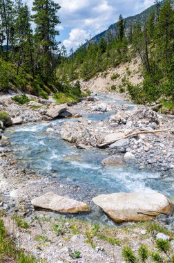 İsviçre Ulusal Parkı 'nın nehir ve vahşi manzarası, dokunulmamış doğasıyla ünlü, batı Rhaetian Alpleri, doğu İsviçre.