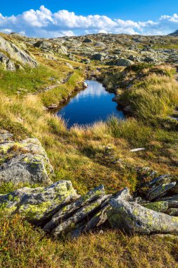 İsviçre, Grimselpass 'ta güzel bir cennet manzarası.