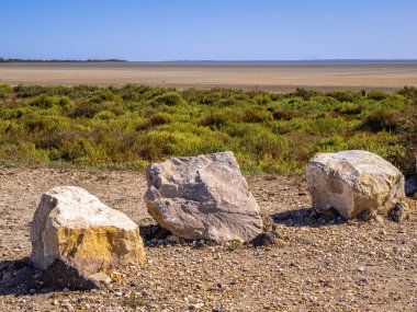 Camargue 'de üç taş, Fransa' nın güneyindeki Provence 'de bir doğa rezervi. Sonbaharda kurak bir manzaranın resmi