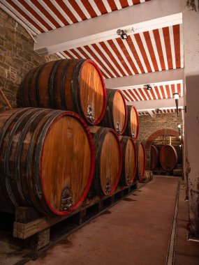 Koper, Slovenya - 8 Kasım 2023: Koper bölgesinde yaklaşık 430 hektar üzüm bağı bulunan bağımsız bir şirket olan Vinakoper 'da ahşap şarap fıçıları