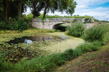 Fransa 'nın Chambord parkında bir gölet ve eski bir taş köprü ile doğal bir manzara.