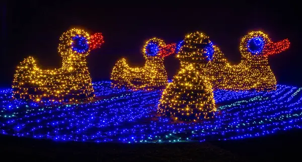 Mainau, Almanya - 27 Aralık 2023: Noel bahçesi, Constance Gölü 'ndeki Mainau adasında güzel ışık kreasyonları ve aydınlatmaların yer aldığı bir Noel etkinliğidir.