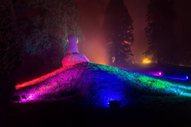 Mainau, Almanya - 27 Aralık 2023: Noel bahçesi, Constance Gölü 'ndeki Mainau adasında güzel ışık kreasyonları ve aydınlatmaların yer aldığı bir Noel etkinliğidir.