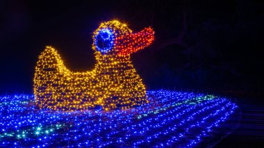 Mainau, Almanya - 27 Aralık 2023: Noel bahçesi, Constance Gölü 'ndeki Mainau adasında güzel ışık kreasyonları ve aydınlatmaların yer aldığı bir Noel etkinliğidir.