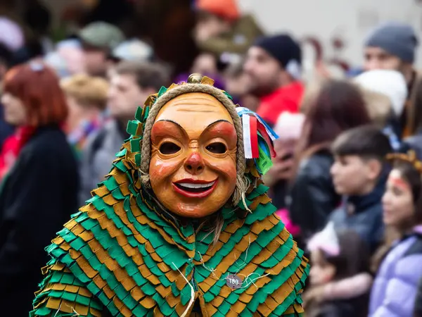 Freiburg, Breeisgau, Almanya - 12 Şubat 2024: Masquerade. Karnaval geçidinde güzel bir maske. İnsanlar arka planda bulanık..