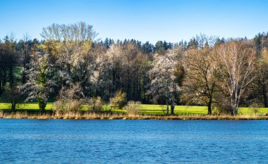 Bahar sahnesi güneşli bir günde Katzensee Gölü kıyısında, Regensdorf, İsviçre.