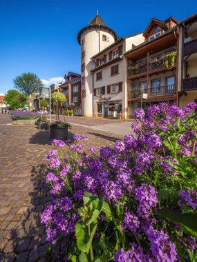 Waldshut, Almanya - 28 Mayıs 2024: Tarihi kulesi, binaları, dükkanları, kaldırım taşı caddesi, çiçekleri olan Alman kasabası Waldshut