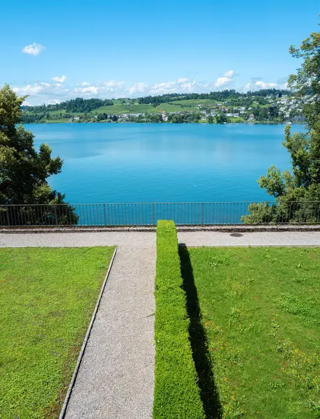 Rapperswil 'de yemyeşil ve mavi gökyüzüyle sakin bir göl manzarası. Negatif boşluk.