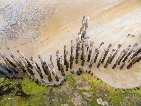 stock image Aerial view of a weathered wooden breakwater along a damp sandy beach in Saint-Malo, Brittany