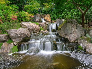 Holland Park, Londra 'da bahar zamanı şelalesi olan Japon tarzı Kyoto bahçesi