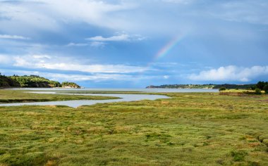 Brittany 'de yeşillik ve parçalı bulutlu gökyüzü ile çevrili sakin bir su kütlesinin üzerinde gökkuşağı olan çimenli bir bataklık manzarası.