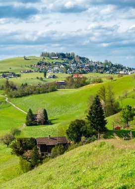 Drumlin hill landscape and a village of Hirzel , Switzerland, in summer clipart