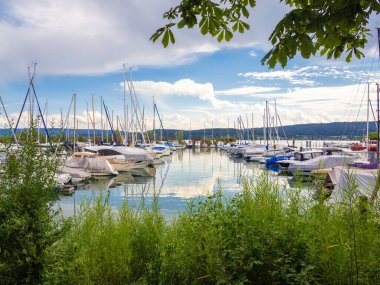 Radolfzell 'de sakin bir marina. Constance Gölü' nde. Durgun sulara yanaşmış çeşitli tekneler var..