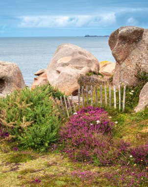 Pembe granit taşların kayalık oluşumlarını içeren manzaralı bir kıyı manzarası. Ploumanach, Brittany, Pembe granit sahili