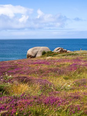 Granit taşların kayalık oluşumlarını içeren manzaralı bir kıyı manzarası. Ploumanach, Brittany, Pembe granit sahili