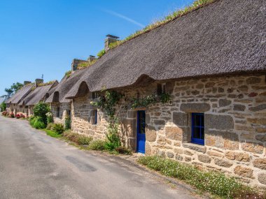  Yatay çizgileri ve beyaz bir tarlada siyah ağaçlar veya oklar desenli siyah ve beyaz bir tasarımın yer aldığı bir Britanya bölgesel bayrağı.,