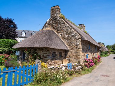  Yatay çizgileri ve beyaz bir tarlada siyah ağaçlar veya oklar desenli siyah ve beyaz bir tasarımın yer aldığı bir Britanya bölgesel bayrağı.,