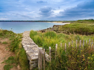 Sahile giden çimenli bir yol boyunca taştan bir duvar bulunan manzaralı bir sahil manzarası. Kıyı şeridi, verimli yeşillikler ve kır çiçekleriyle çevrili, kıyıya vuran yumuşak dalgalarla görülebilir..