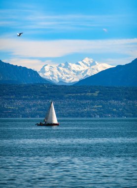 Morges, İsviçre - 6 Eylül 2024: Bir yelkenli sakin bir göl boyunca süzülür, görkemli kar örtülü dağlar berrak mavi bir gökyüzü altında nefes kesici bir zemin oluşturur. Huzurlu ve resimli bir sahne..