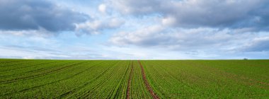 Baharda bulutlu gökyüzü olan yeşil bir alanın panoramik görüntüsü.