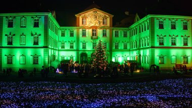 Mainau, Almanya - 27 Aralık 2023: Bir Noel bahçesi - Constance Gölü 'ndeki Mainau adasında güzel ışık kreasyonları ve aydınlatmalarla dolu bir Noel etkinliği