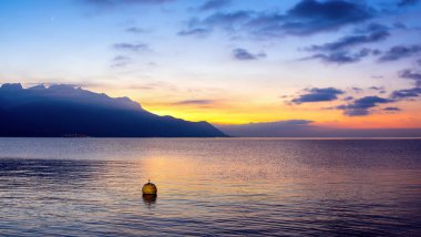 Londra 'daki modern gökdelenlerin ve tarihi binaların ön planda parkı var..