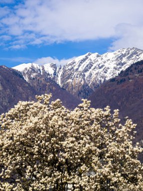  Aydınlatılmış bir tabela. Tavandan sarkan INNSBRUCK 'a bayılıyorum..