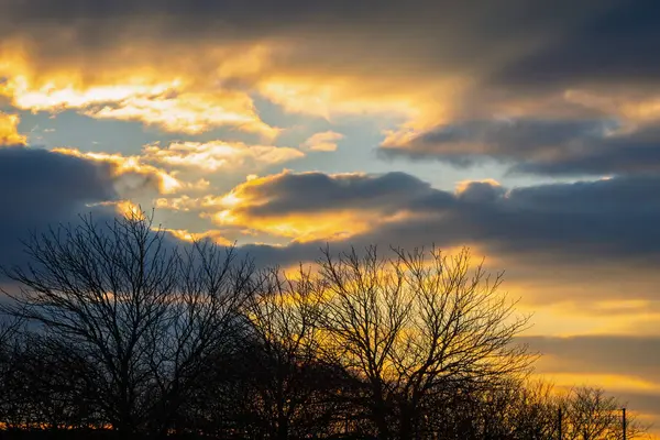 Canlı bulutlar ve siluetli ağaçlarla huzurlu günbatımı manzarası.