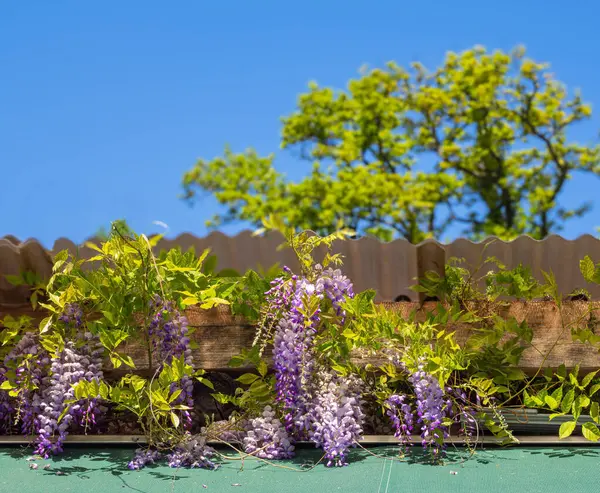 Renkli paneller, modern bank ve şık şehir tasarımı ile canlı açık hava oturma alanı.