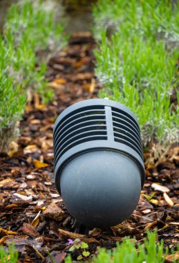 Çamurlu, gösterişli bir sokak lambası, yemyeşil bitkilerle çevrili bir bahçe..