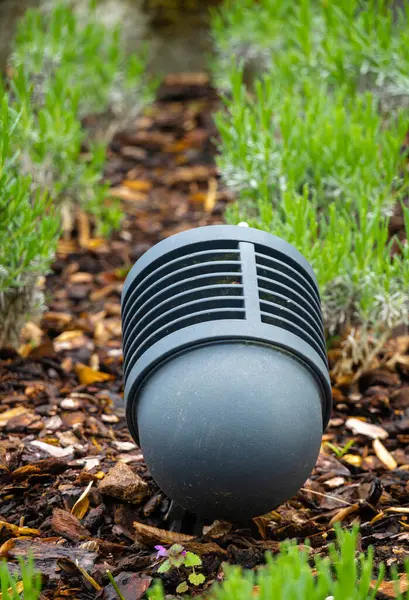 Çamurlu, gösterişli bir sokak lambası, yemyeşil bitkilerle çevrili bir bahçe..