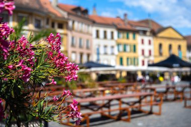 Arka planda bulanık binalar ve ön planda pembe çiçeklerin açtığı canlı bir açık hava kafe sahnesi. Hava canlı ve davetkar, güneşli bir gün için mükemmel..