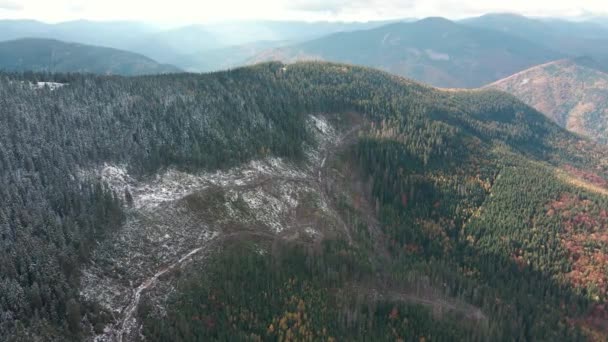 Entwaldung Zerstörung Von Bäumen Den Bergen Riesige Waldflächen Nach Baumfällungen — Stockvideo
