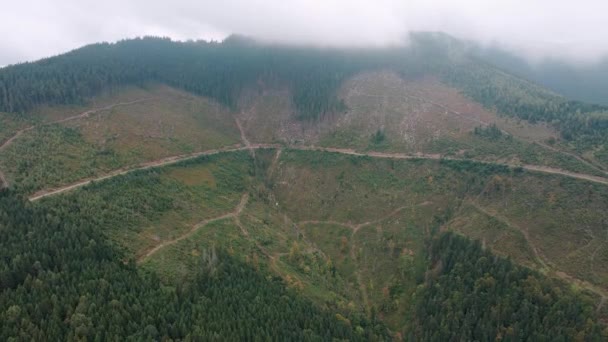 Odlesňování Ničení Stromů Horách Obrovské Plochy Lesa Kácení Stromů Karpat — Stock video