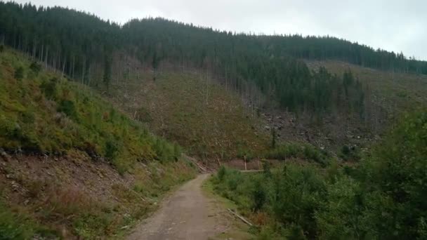 Wycinanie Lasów Niszczenie Drzew Górach Ogromne Obszary Lasu Ścięciu Drzew — Wideo stockowe