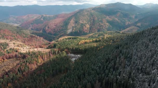 森林破壊 山の中の木の破壊 木を伐採した後の森林の広大な地域 カルパチア人ウクライナ ストック動画