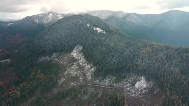 Deforestación Destrucción Árboles Las Montañas Vastas Áreas Bosque Después Tala — Vídeo de stock