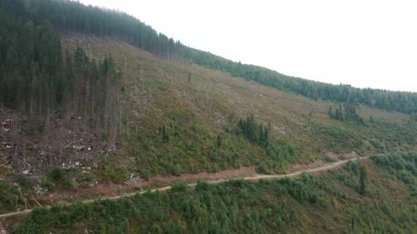 森林破壊 山の中の木の破壊 木を伐採した後の森林の広大な地域 カルパチア人ウクライナ 動画クリップ