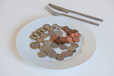 Money on a plate depicting the cost of food isolated on a white background.