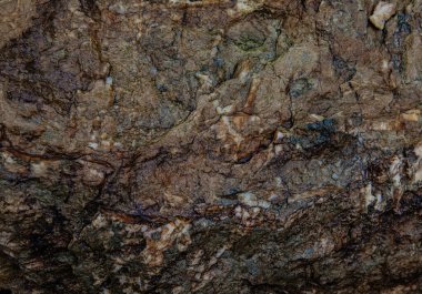 Yağmurdan sonra bahçedeki ıslak kaya.