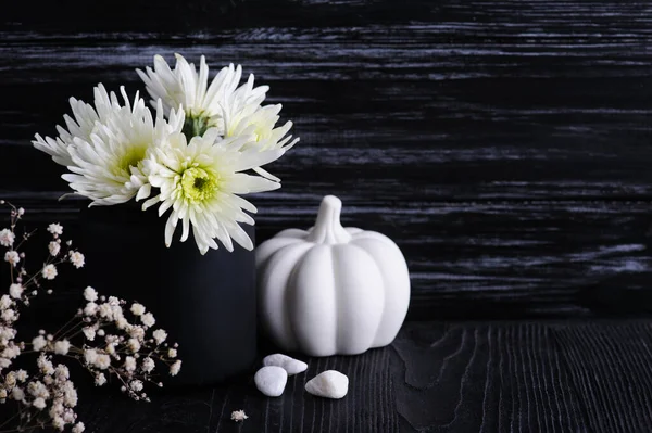 Fall decoration with white pumpkins and chrysanthemum on black wooden background. Still life with copyspace for text. Autumnal greeting card and advertisment