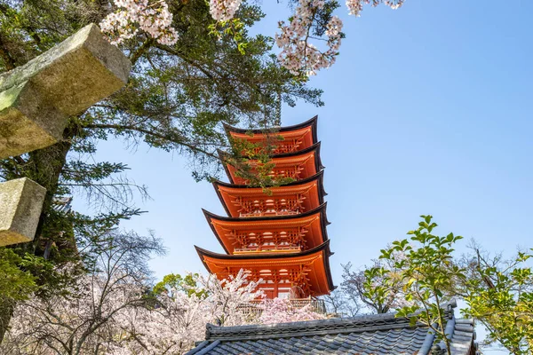 Bir güzel doğal Senjokaku ve beş katlı pagoda Miyajima Island, Hiroshima, Japonya