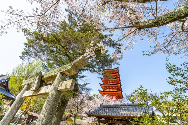 Bir güzel doğal Senjokaku ve beş katlı pagoda Miyajima Island, Hiroshima, Japonya