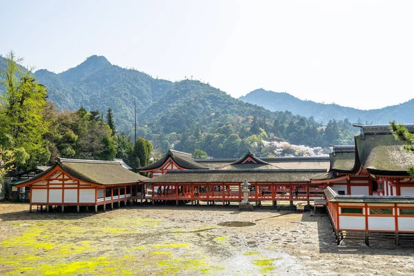 Itsukushima tapınağının güzel manzarası Misen Dağı arkasında Miyajima Adası, Hiroşima, Japonya