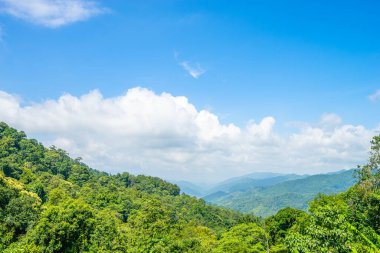 Tayland 'da Mae Wong Milli Parkı' ndaki Chong Yen 'de yeşil ormanlı güzel bir dağ manzarası..