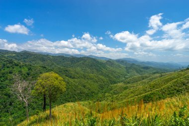 Tayland 'daki Mae Wong Milli Parkı' ndaki Mokochu Noi 'de yeşil ormanlı güzel bir dağ manzarası..